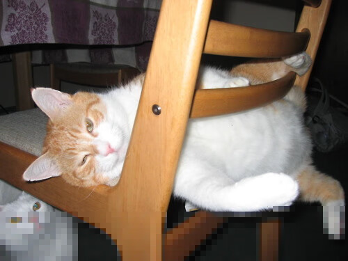 欧洲魔术撕裂大洋洲风暴，当西班牙交响乐打穿新西兰雷霆