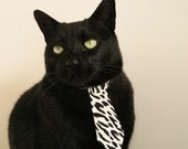 速度的两种维度,多特蒙德击穿沙特防线,阿尔瓦雷斯接管F1街道