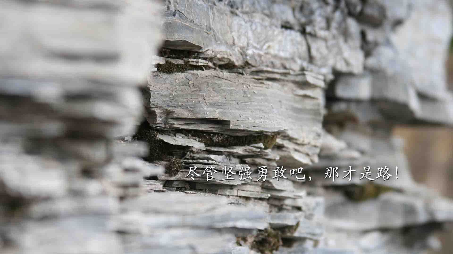 不只是得分手！掘金对阵马刺一役，布克的表现堪称现代双能卫的完美模板