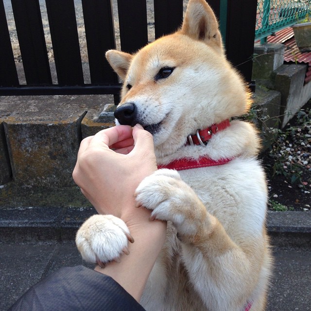 虚拟对决引爆全球，当美国队意外遭遇马赛，罗德里戈上演终极验货表演