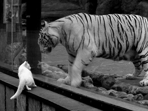 雷火电竞简介-以下是为你创作的文章