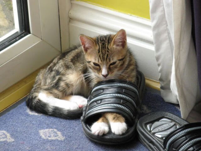 雷火电竞网站-让我们先来构思文章标题