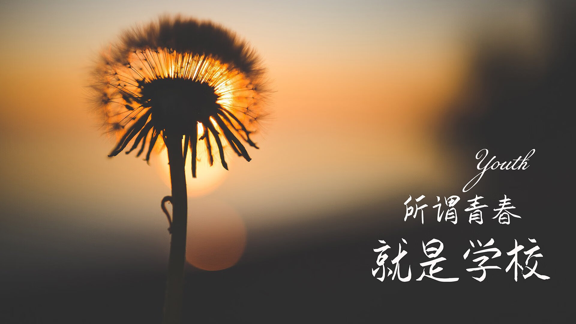 绿茵孤勇，2026世界杯G组，乌兹别克斯坦逆转英格兰，卢卡库完成致命一击